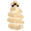 Beach Blonde Remy Human Hair Bundle with Closure / Body Wave