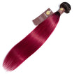 Fuchsia Hair Extensions Straight Remy | Sahar Hair