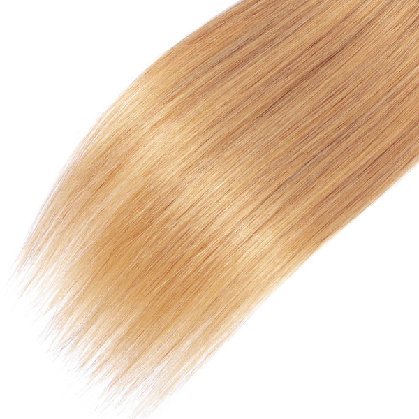 Ombre Chocolate Brown / Strawberry Blonde Remy Hair Extensions / Straight