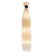 Beach Blonde Remy Human Hair Extensions / Straight