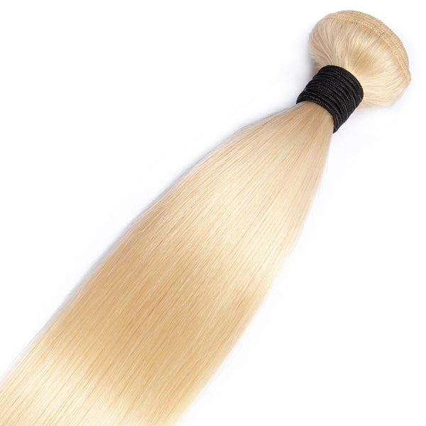 Beach Blonde Remy Human Hair Extensions / Straight
