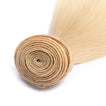 Beach Blonde Remy Human Hair Extensions / Straight