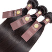 Straight Virgin Human Hair Bundle with 4x4 Closure / 8A Natural Black
