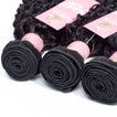 Jerry Curl Human Hair Bundle with Closure / 6A Black