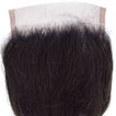 Loose Wave Virgin Human Hair Closure 4x4 Inch Free Part / 8A Natural Black
