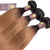 Auburn Remy Hair Bundle with Frontal / Straight Dip Dye
