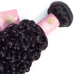 Jerry Curl Human Hair Bundle with Closure / 6A Black