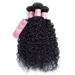 Jerry Curl Human Hair Bundle with Closure / 6A Black