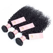 Jerry Curl Human Hair Bundle with Frontal / 6A Black